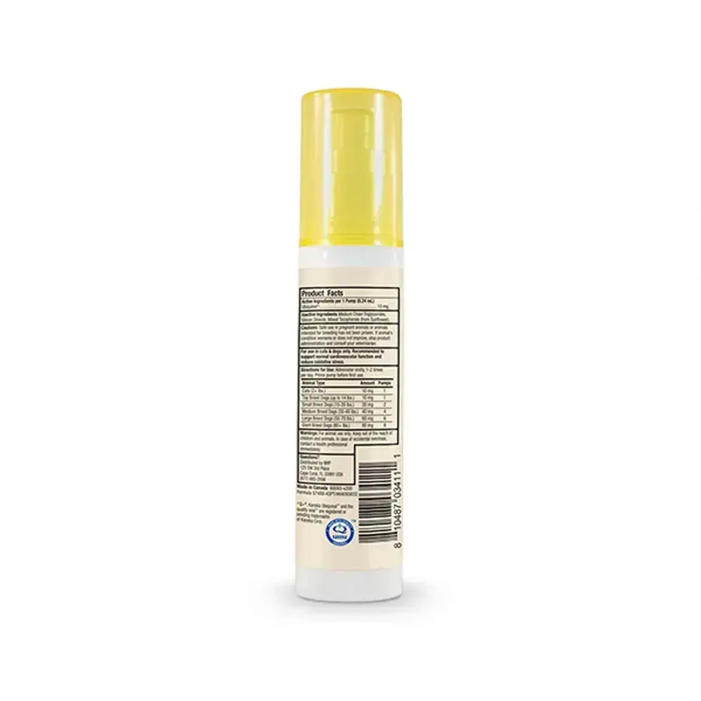 Product image for Ubiquinol Liquid Pump for Pets.