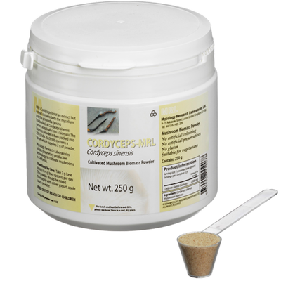 Cordyceps Sinensis-MRL Powder 250 Grams