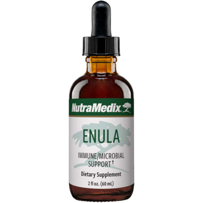 Enula