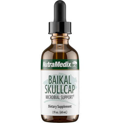 Baikal Skullcap