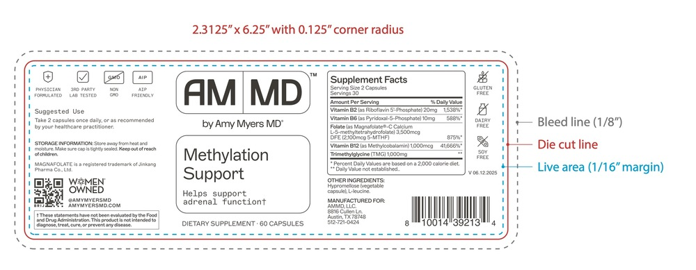 Product image for Methylation Support®.