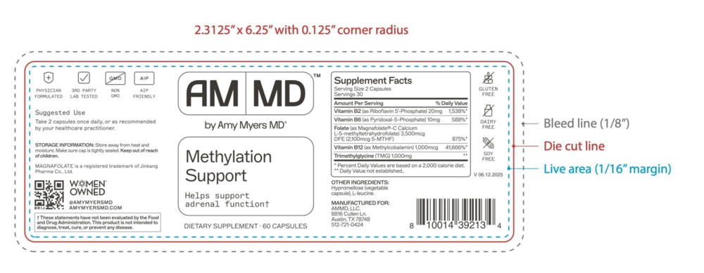 Product image for Methylation Support®.