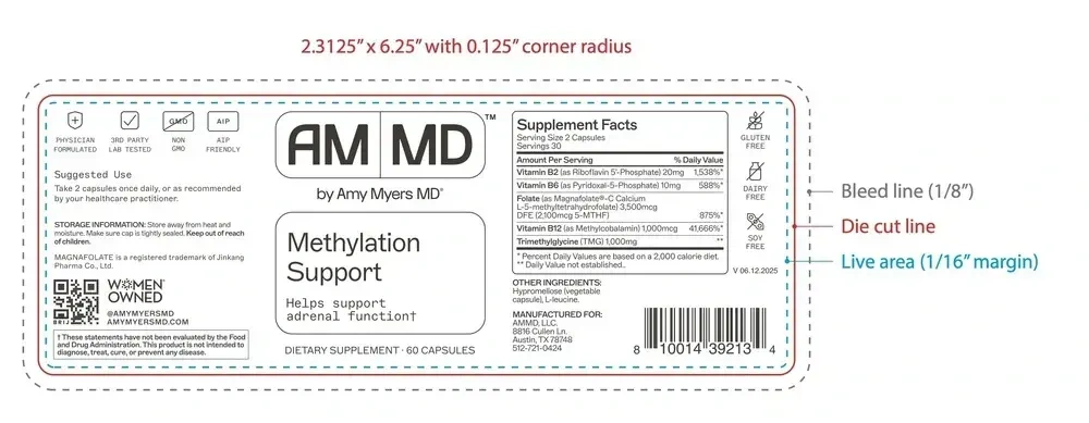 Product image for Methylation Support®.