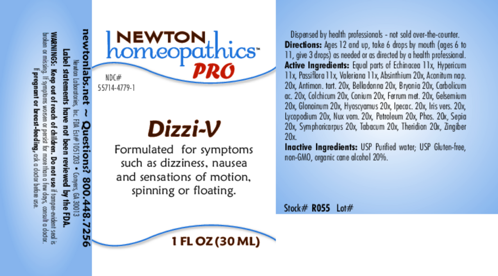 Product image for Dizzi-V.