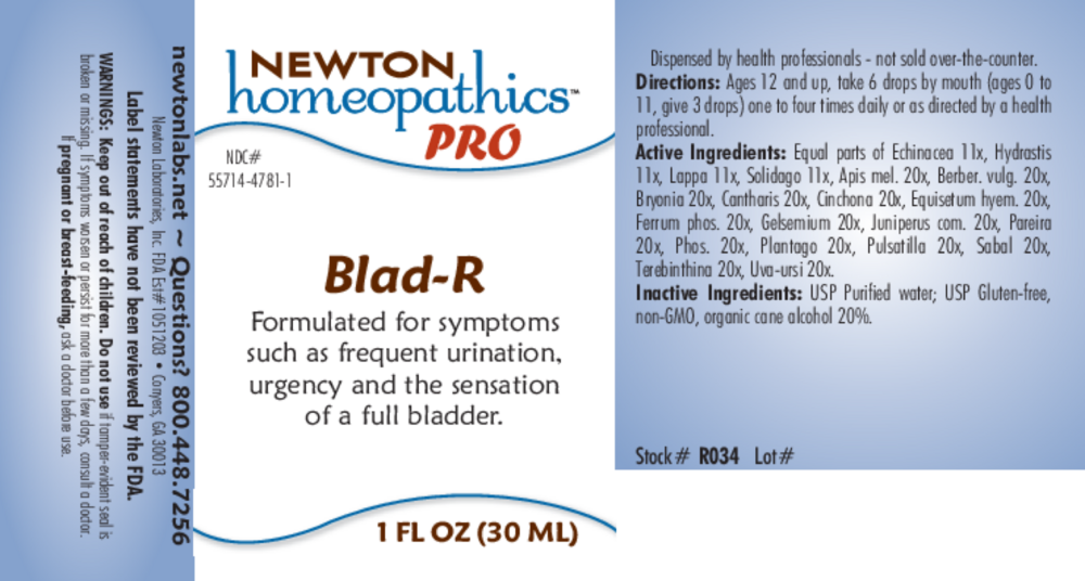 Product image for Blad-R.