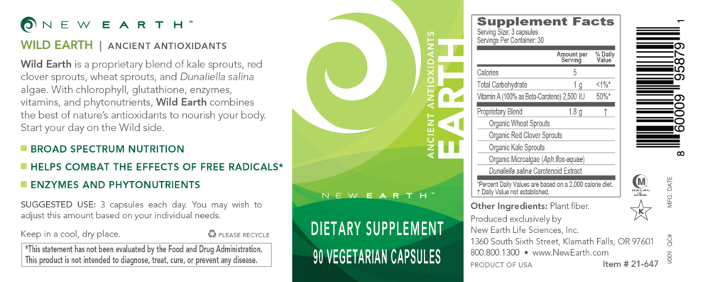 Product image for Earth.