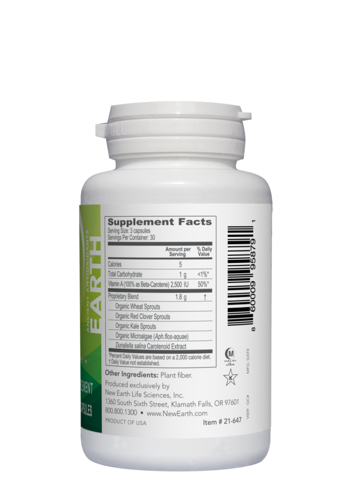 Product image for Earth.