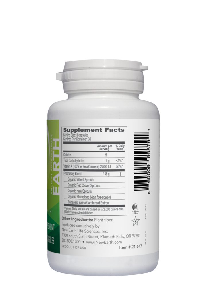 Product image for Earth.