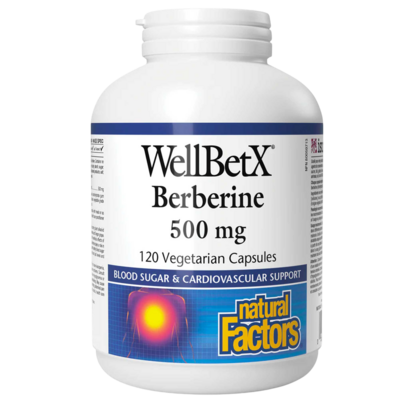 WellBetX Berberine 500mg