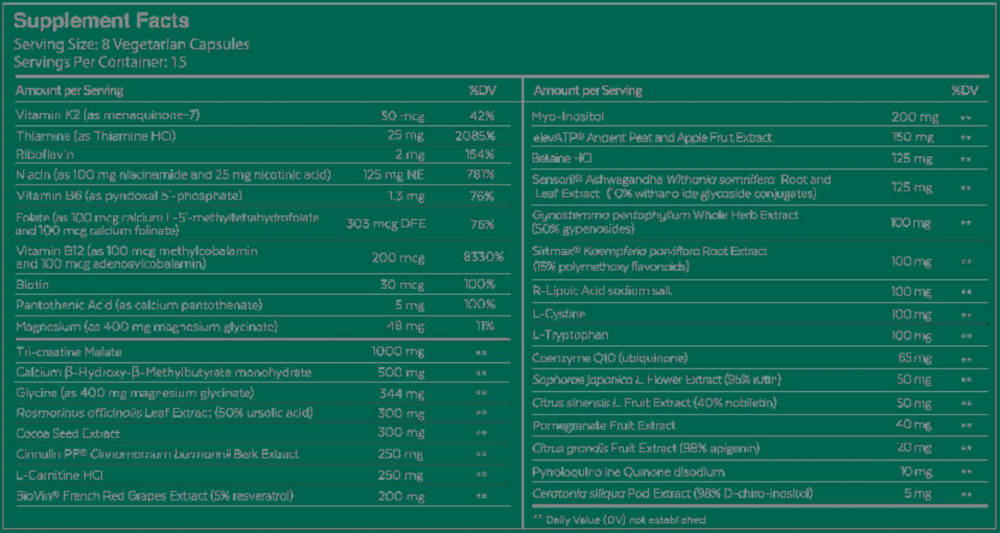 Product image for Qualia Mitochondria+.