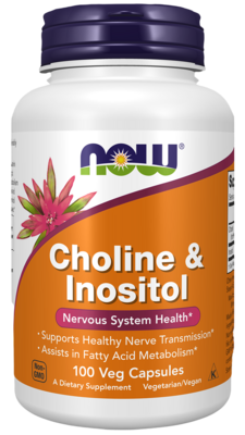 Choline & Inositol 500mg 100 capsules