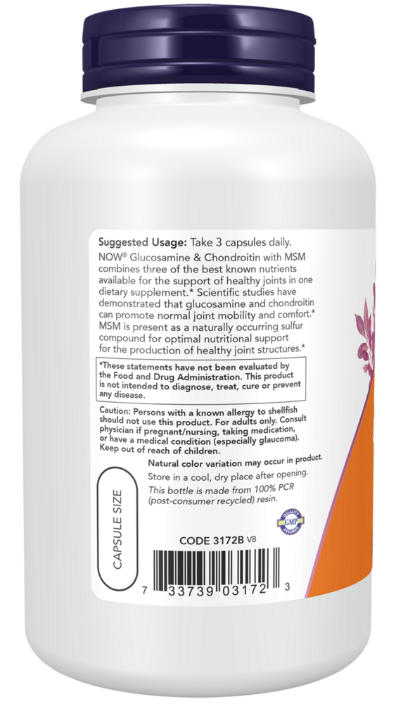 Product image for Glucosamine &amp; Condroitin w/MSM.