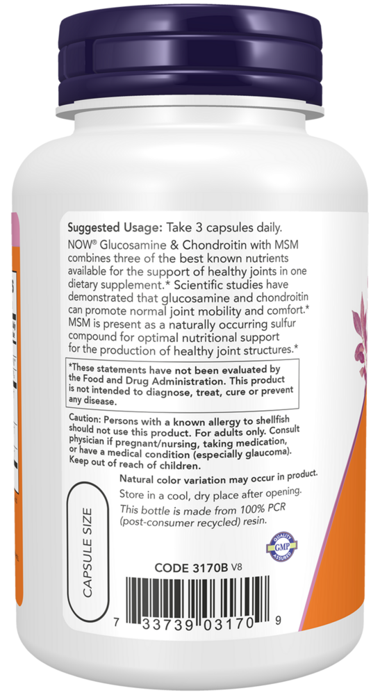 Product image for Glucosamine &amp; Condroitin w&#x2F;MSM.