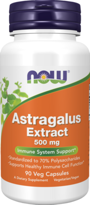 Astragalus Extract 500mg 90 capsules