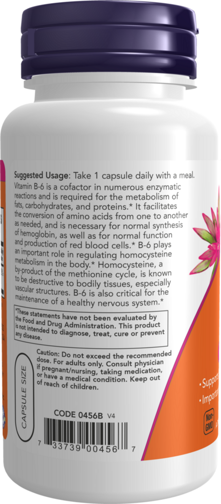 Product image for B-6 100mg.