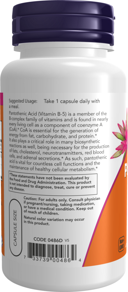 Product image for Pantothenic Acid 500mg.