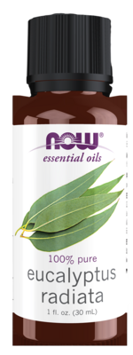 Eucalyptus Radiata 1 Ounce