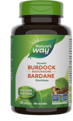 Burdock Root