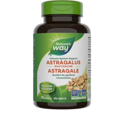 Astragalus Root