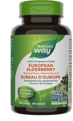 European Elderberry