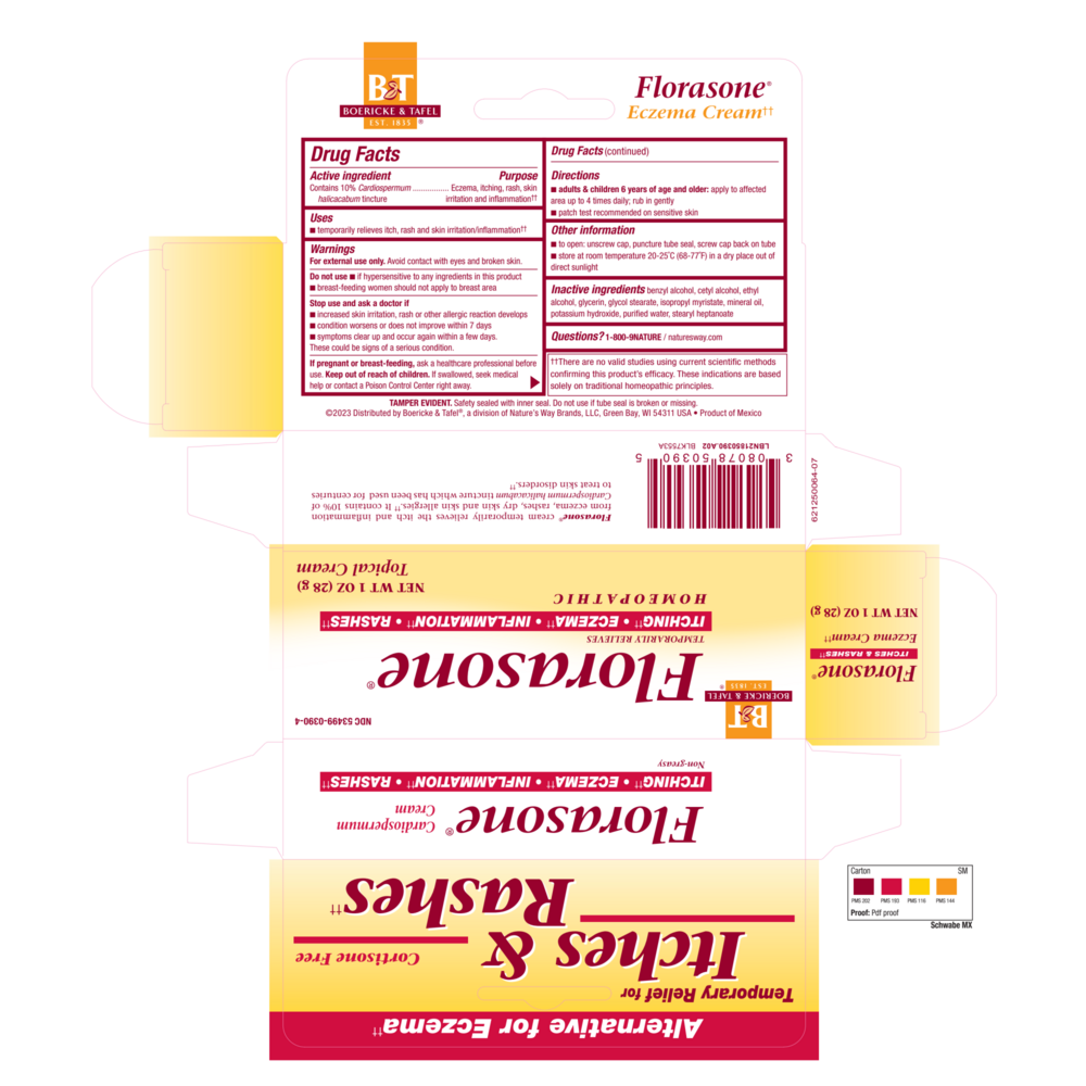 Product image for Florasone Cream.