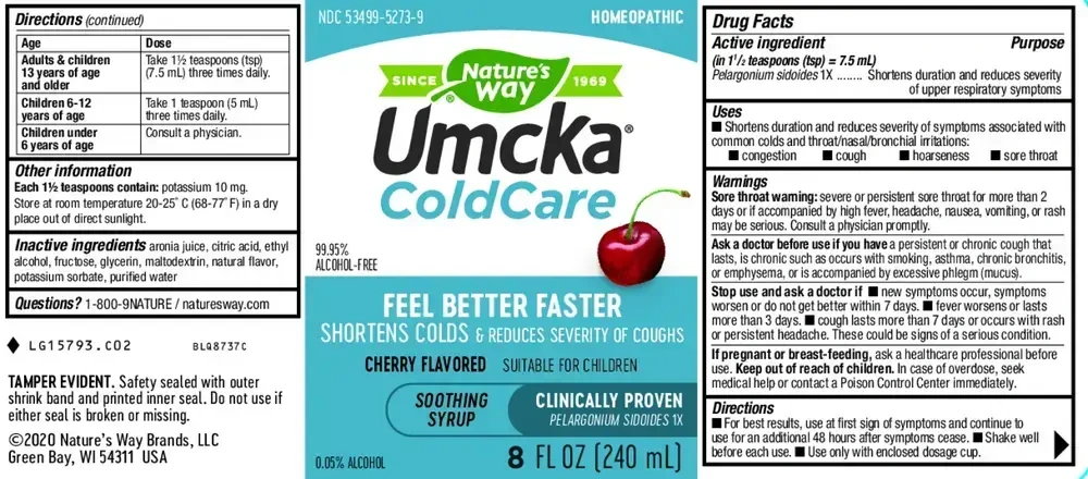 Product image for Umcka® ColdCare Alcohol Free Cherry Syrup.