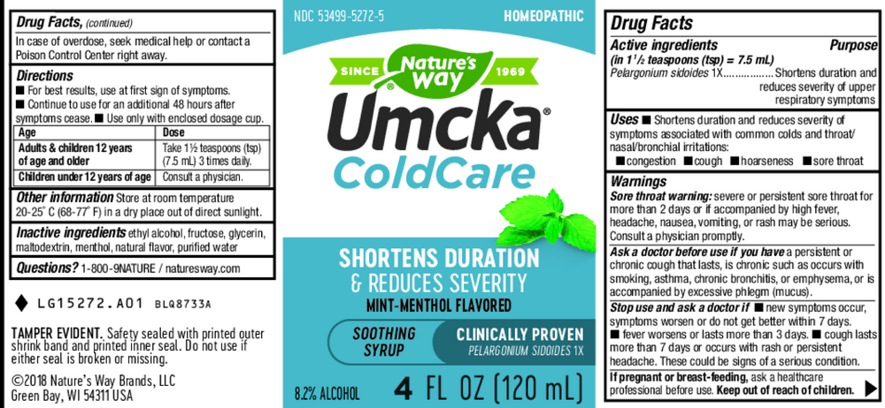Product image for Umcka® ColdCare Menthol Syrup.