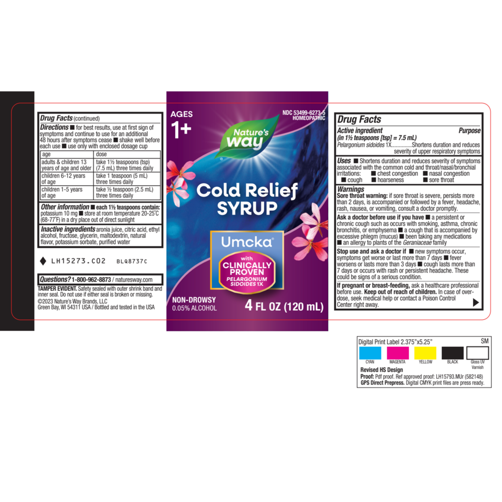 Product image for Umcka® ColdCare Alcohol Free Cherry Syrup.