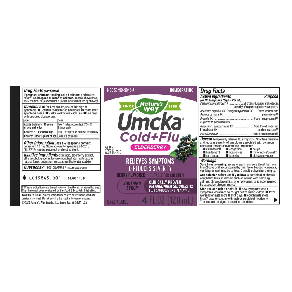 Product image for Umcka® Elderberry Cold + Flu Syrup 4oz.