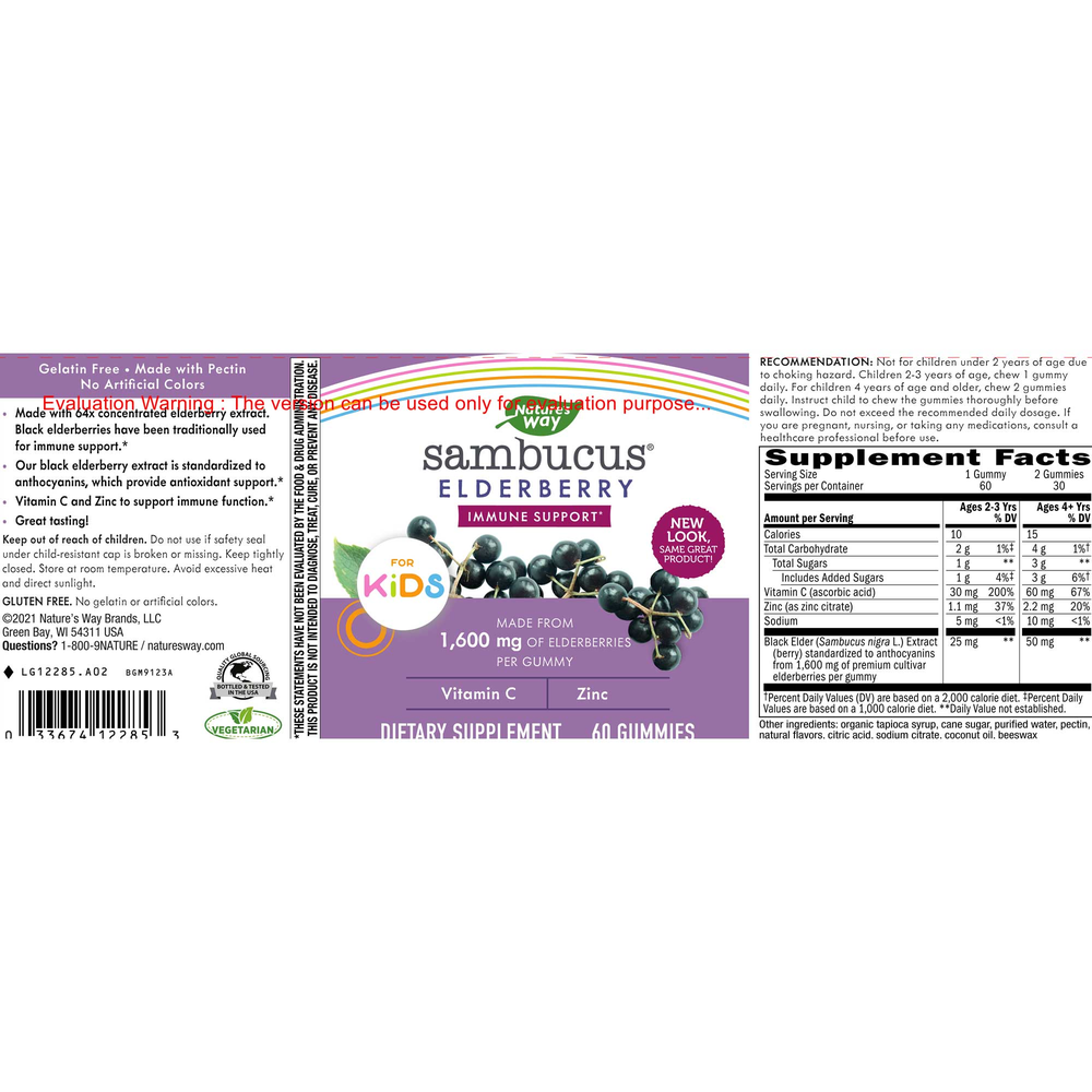 Product image for Sambucus for Kids.
