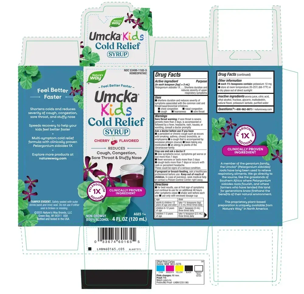 Product image for Umcka ColdCare Kids Syrup Cherry.