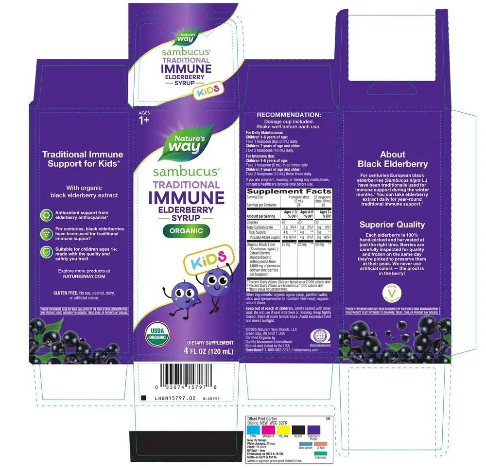 Product image for Kids' Sambucus Traditional Elderberry Immune Syrup.