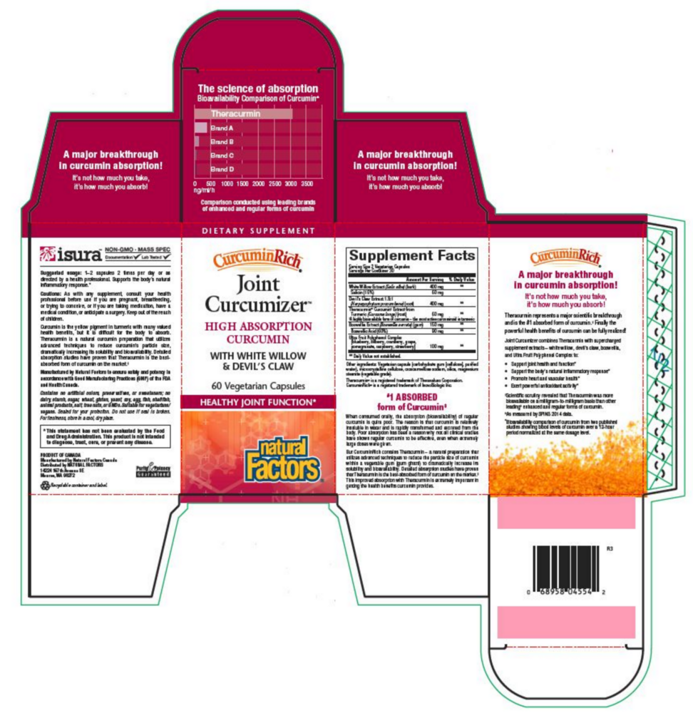 Product image for Joint Curcumizer.