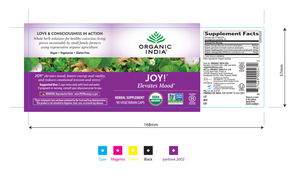 Product image for Joy!.