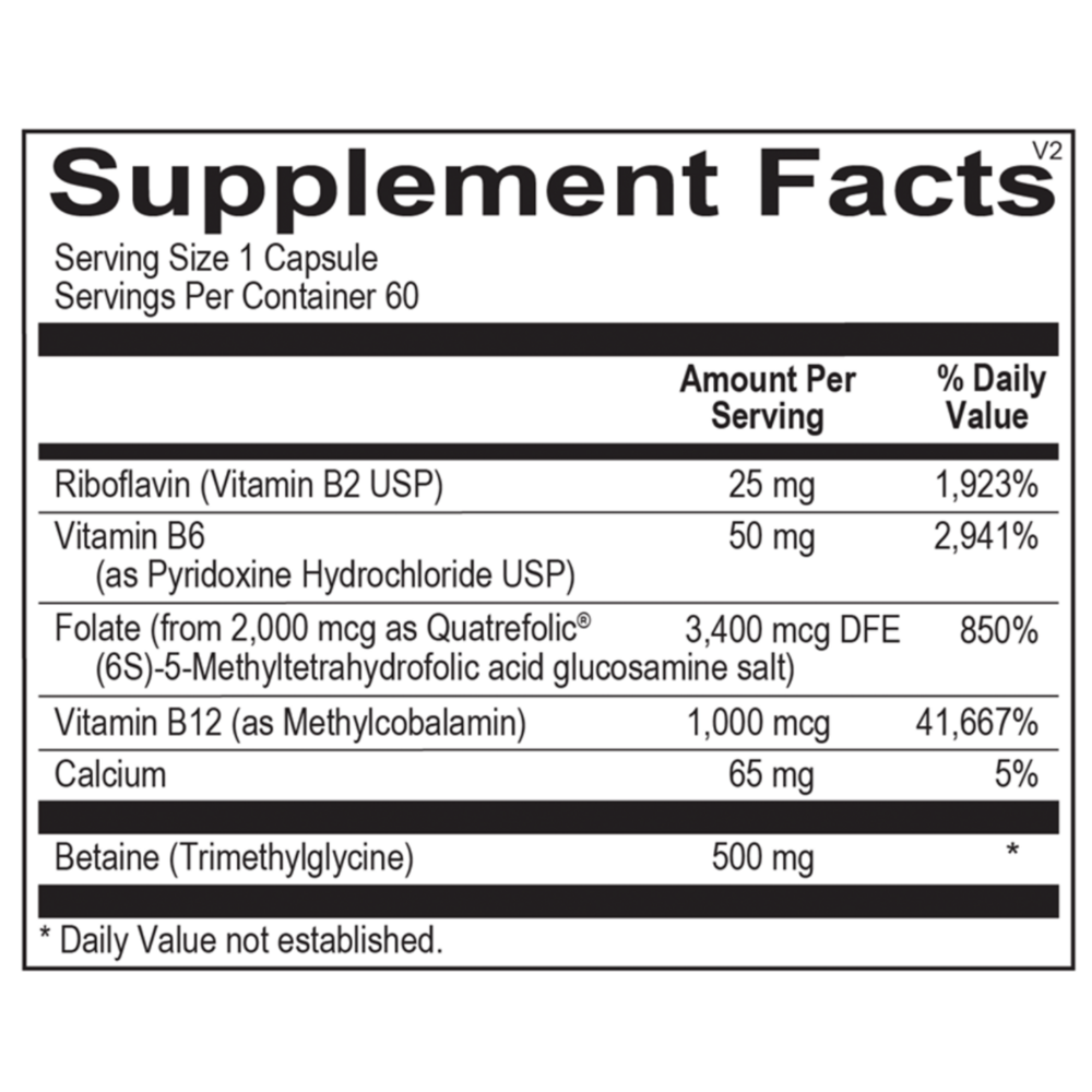 Product image for Methyl CpG.