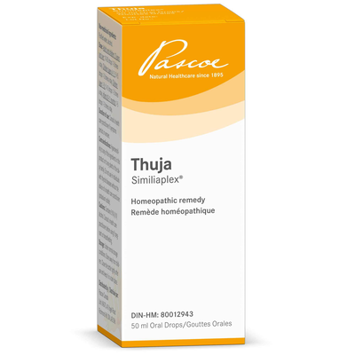 Thuja Similiaplex product image