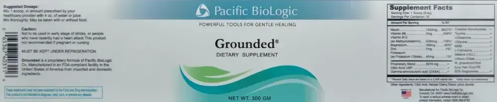 Product image for Grounded.