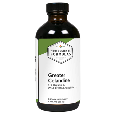 Greater Celandine (Chelidonium majus)