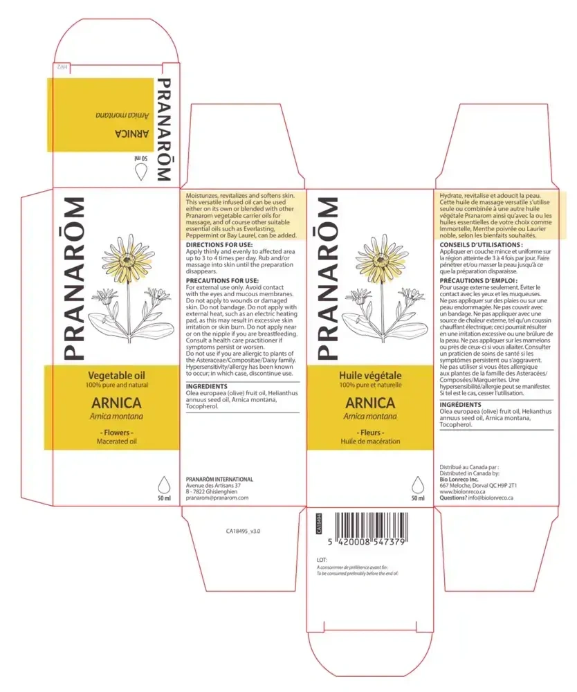 Product image for Arnica Oil.