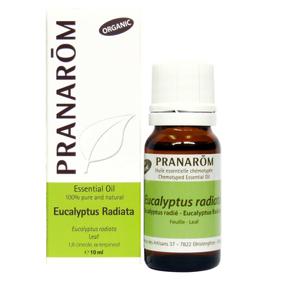 Eucalyptus radiata essential oil product image