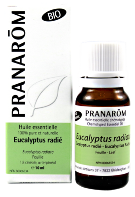Eucalyptus radiata essential oil