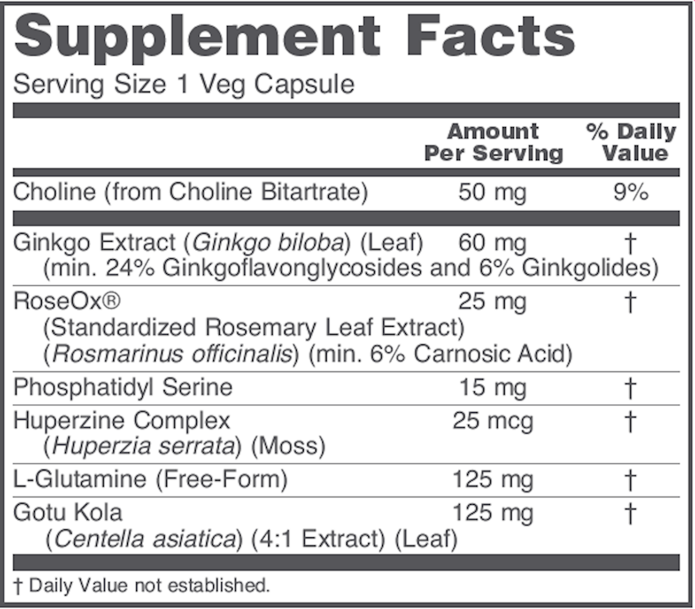 Product image for Brain Regain.