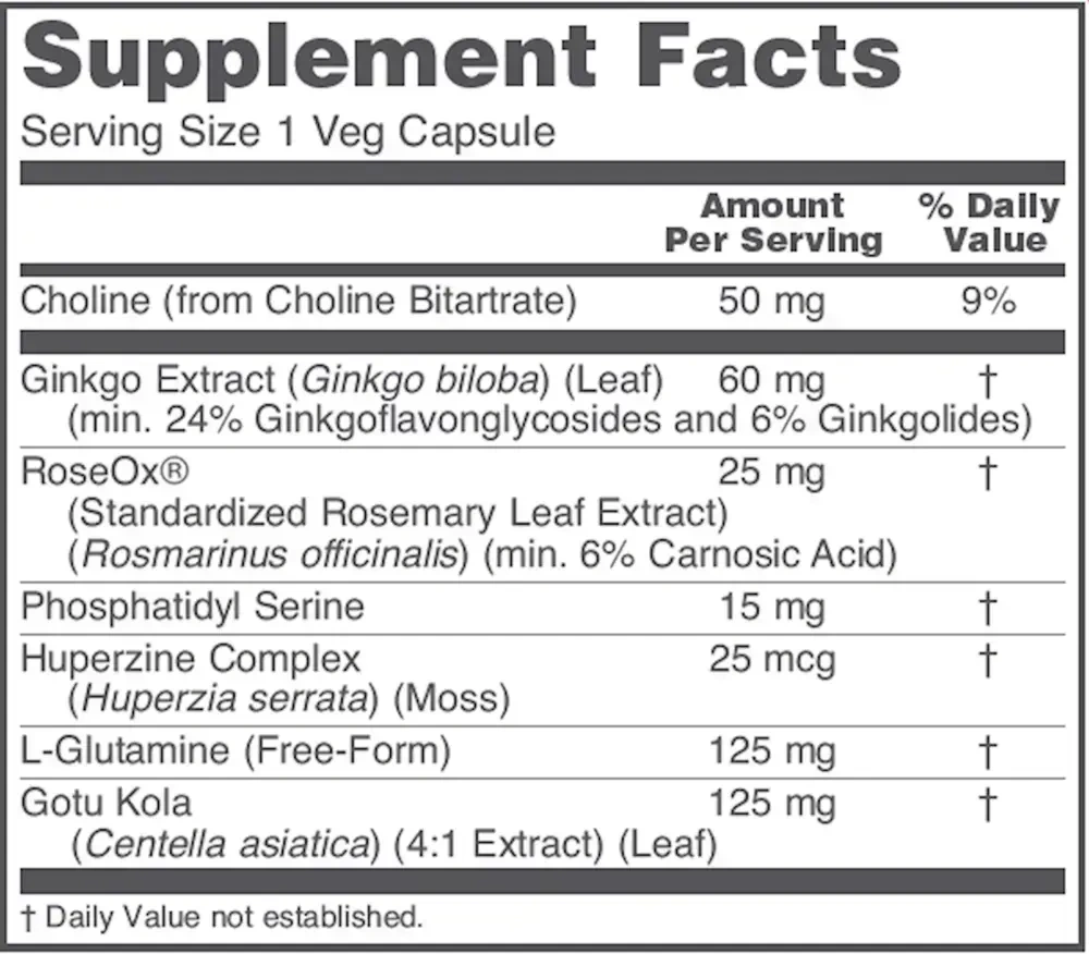Product image for Brain Regain.