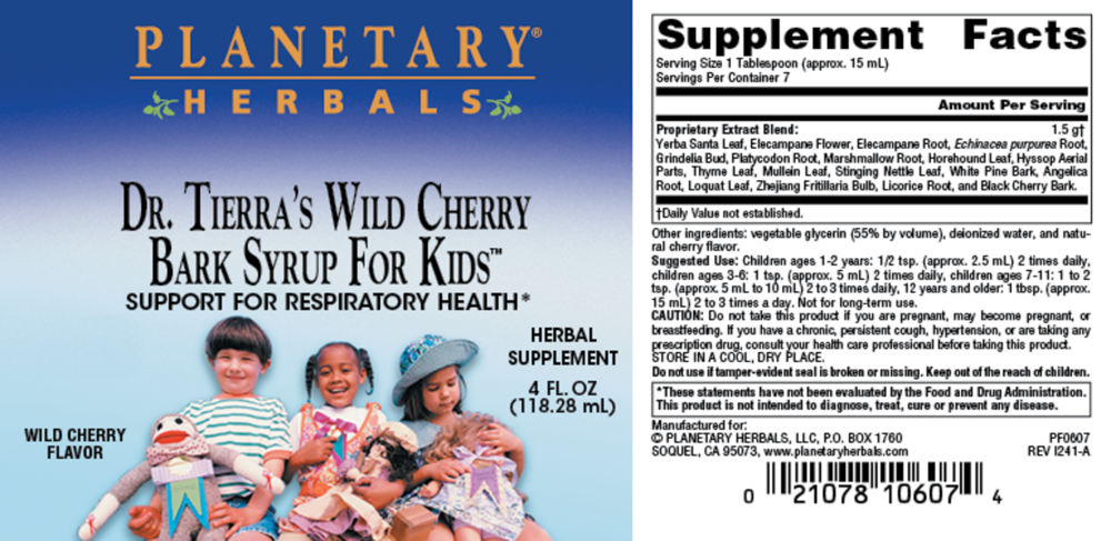 Product image for Dr. Tierra's Wild Cherry Bark Syrup For Kids™.