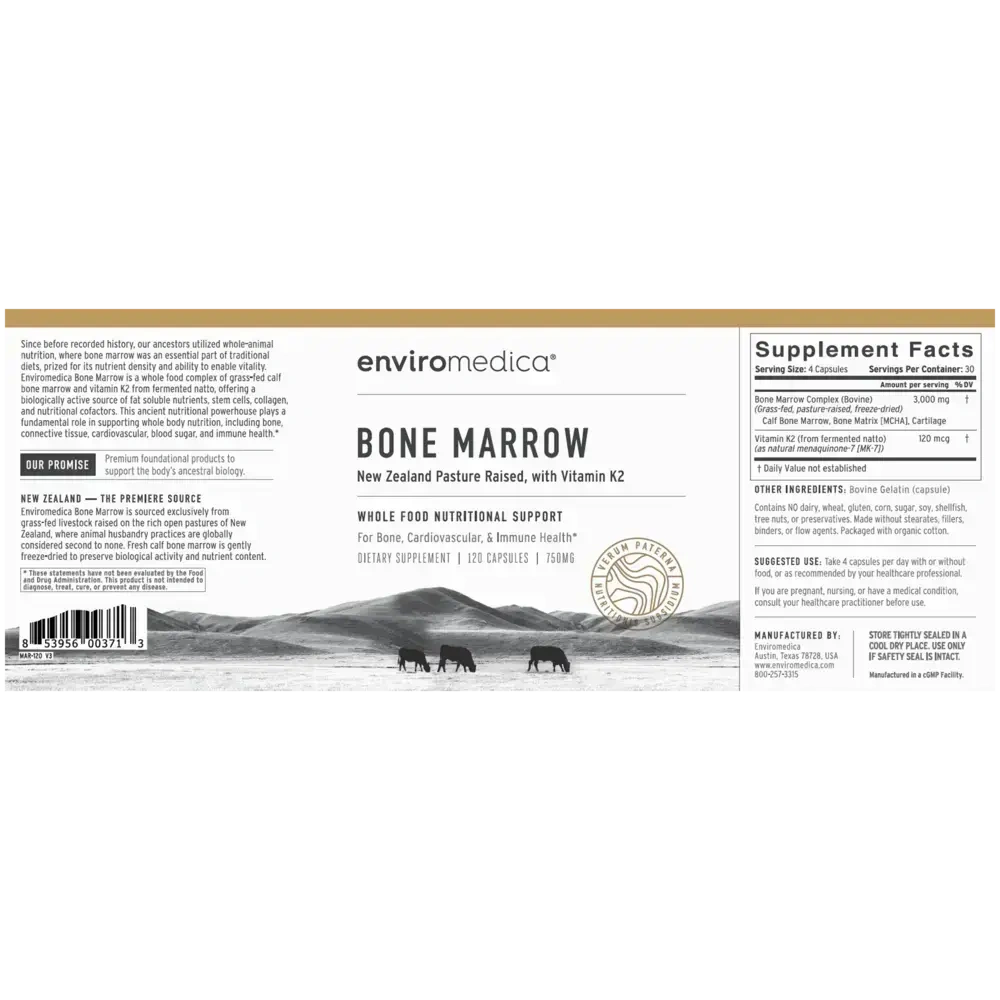 Product image for Bone Marrow.