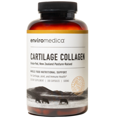 Cartilage Collagen
