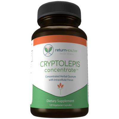 Cryptolepis Concentrate 120 capsules