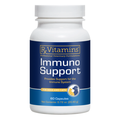 Immuno Support 60 capsules