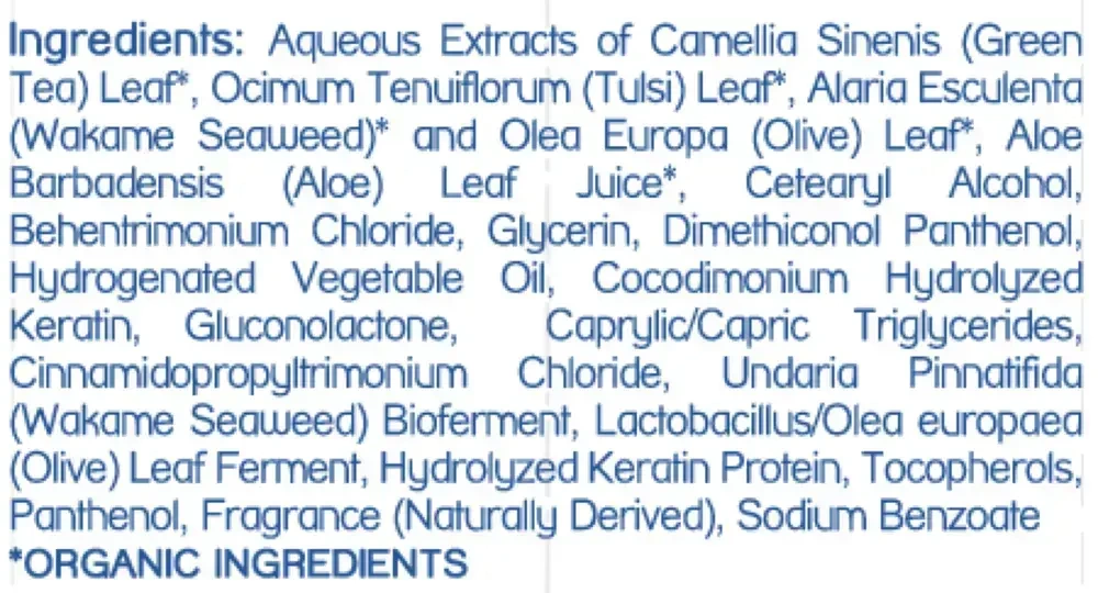 Product image for Leave-in Conditioner.