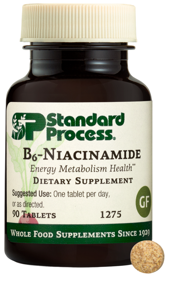 Standard Process B6-Niacinamide supplement bottle — nervous system and neurotransmitter support